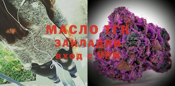 гашик Инта