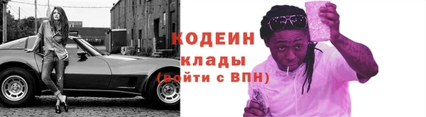 прущие грибы Иннополис