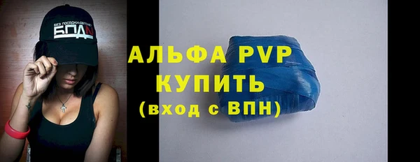 гашик Инта