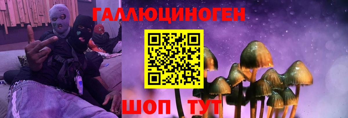 Галлюциногенные грибы прущие грибы Калининград