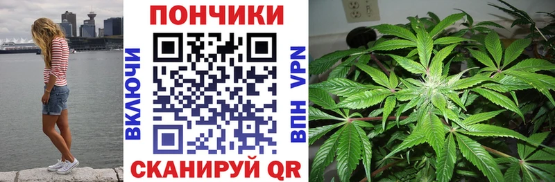 наркота Калининград Каннабис тримм