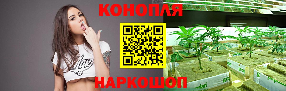 Калининград  Каннабис OG Kush  Марихуана гибрид  Каннабис гибрид  Вход с VPN 
